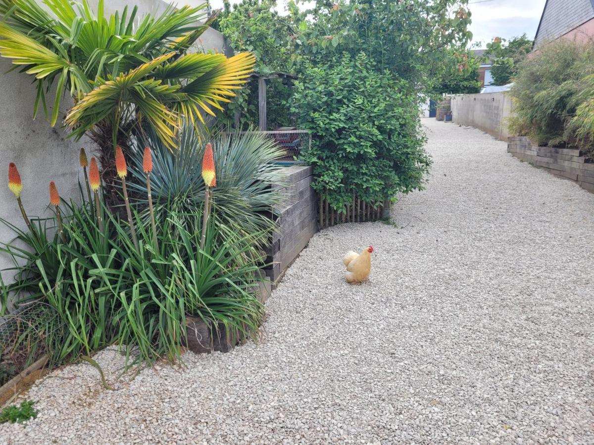 Angers Green Lodge - Cosy Studio Exterior foto