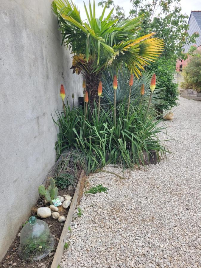 Angers Green Lodge - Cosy Studio Exterior foto